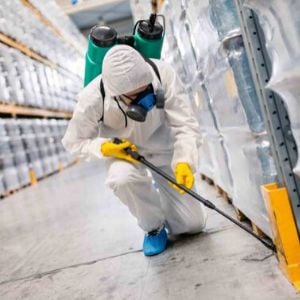 Insect control methods for warehouse