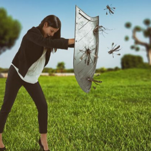 Các phương pháp kiểm soát muỗi