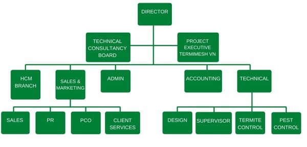 company organixation chart