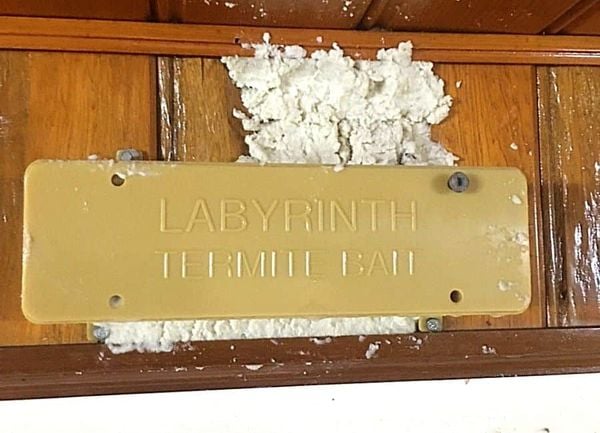 Labyrinth termite bait system