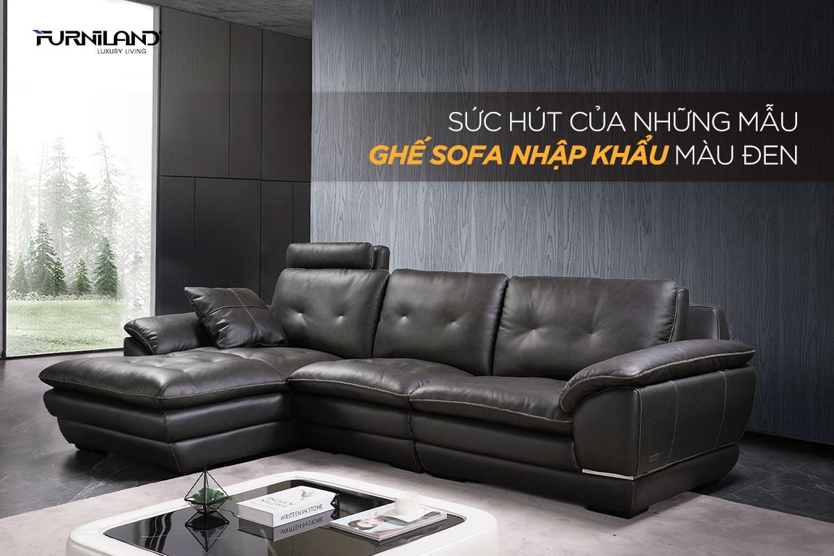 Sức Hút Của Những Mẫu Ghế Sofa Nhập Khẩu Màu Đen