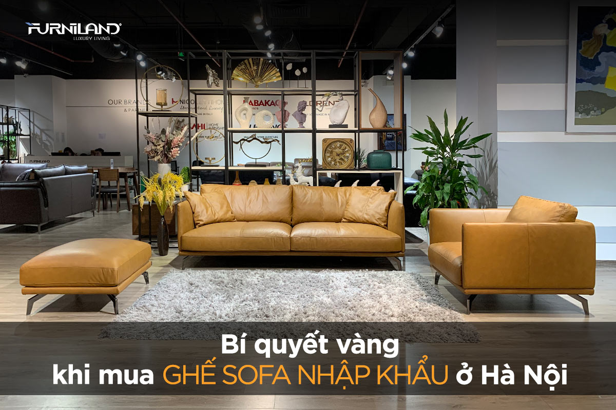 Bí Quyết Vàng Khi Mua Ghế Sofa Nhập Khẩu Ở Hà Nội