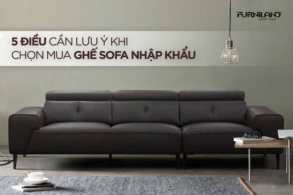 5 Điều Cần Lưu Ý Khi Chọn Mua Ghế Sofa Nhập Khẩu