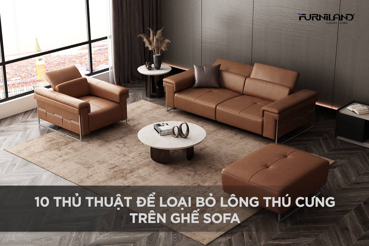 10 Thủ Thuật Để Loại Bỏ Lông Thú Cưng Trên Ghế Sofa