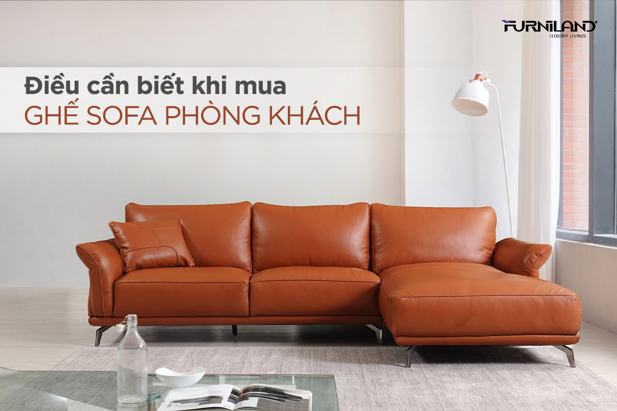 Điều Cần Biết Khi Mua Ghế Sofa Phòng Khách