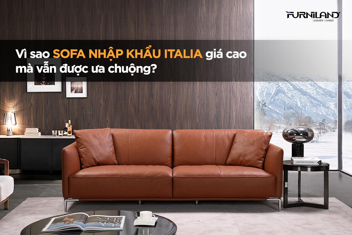 Vì Sao Sofa Nhập Khẩu Italia Giá Cao Mà Vẫn Được Ưa Chuộng?