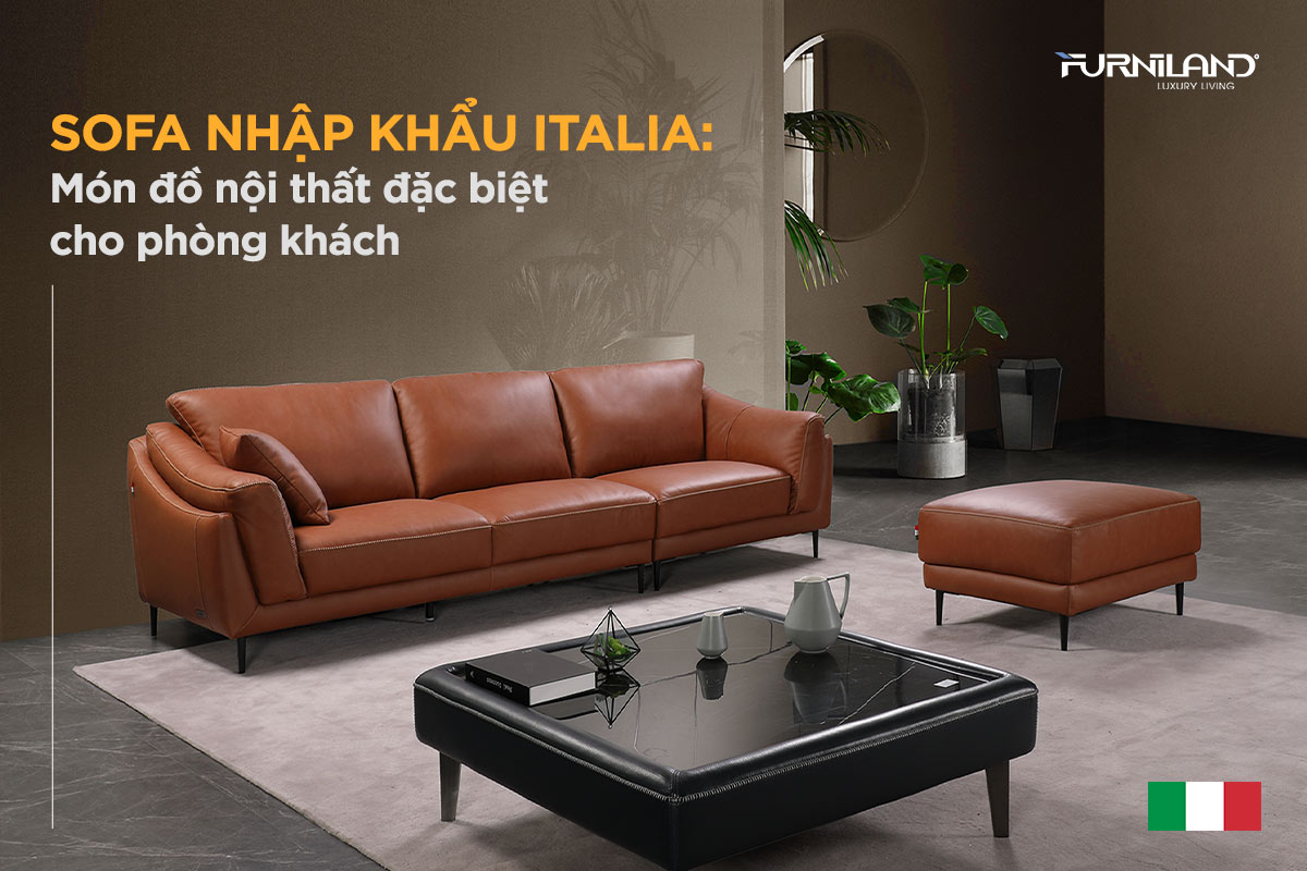 Sofa Nhập Khẩu Italia: Món Đồ Nội Thất Đặc Biệt Cho Phòng Khách