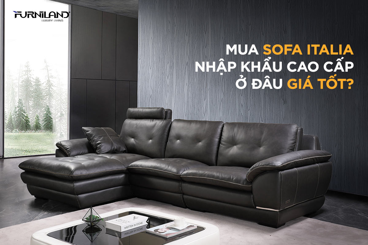 Mua Sofa Italia Nhập Khẩu Cao Cấp Ở Đâu Giá Tốt?