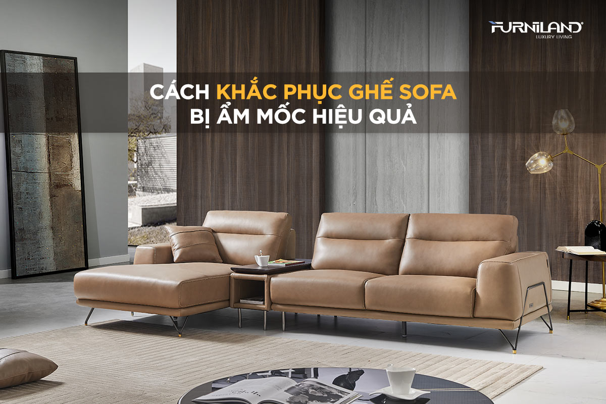 Cách Khắc Phục Ghế Sofa Bị Ẩm Mốc Hiệu Quả