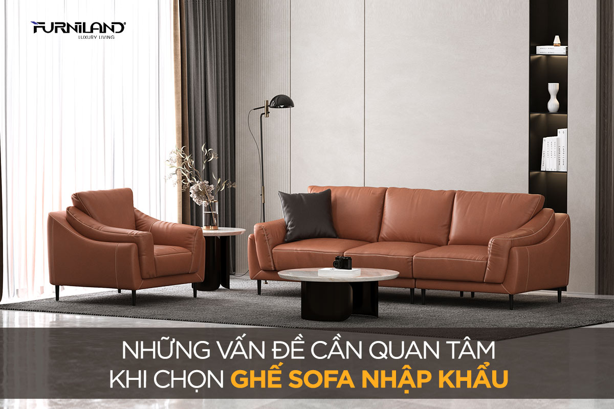 Những Vấn Đề Cần Quan Tâm Khi Chọn Ghế Sofa Nhập Khẩu