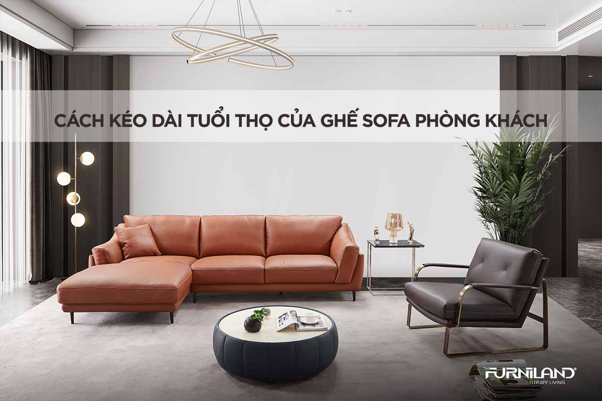 Cách Kéo Dài Tuổi Thọ Của Ghế Sofa Phòng Khách