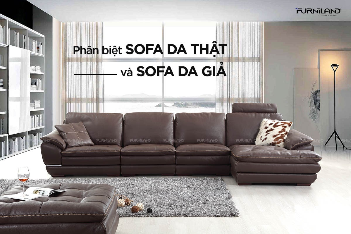 Cách Phân Biệt Ghế Sofa Da Thật Và Giả Da Chính Xác