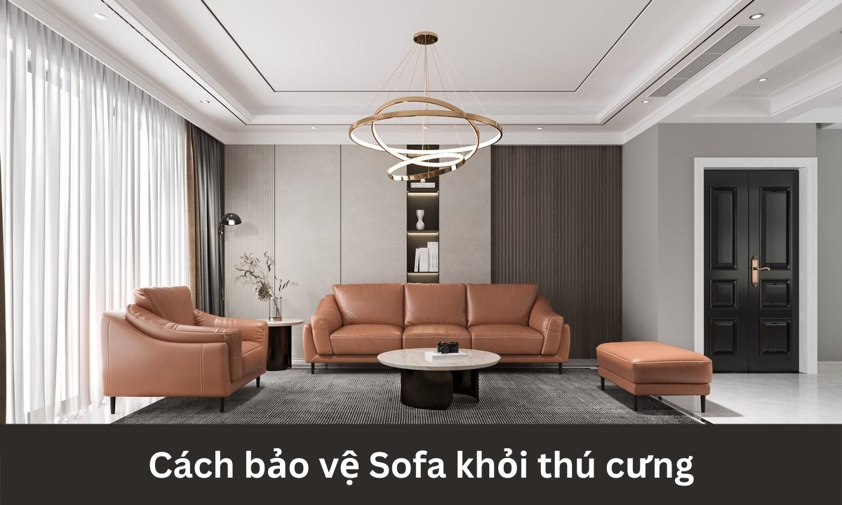 Cách bảo vệ Sofa khỏi thú cưng