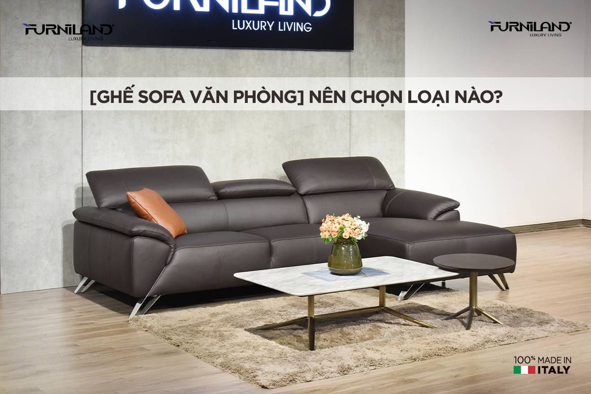 [Ghế sofa văn phòng] Nên Chọn Loại Nào?