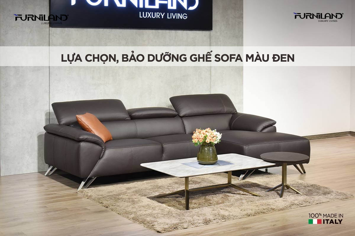 [Ghế Sofa Màu Đen] Lựa chọn, Bảo Dưỡng Và Trang Trí