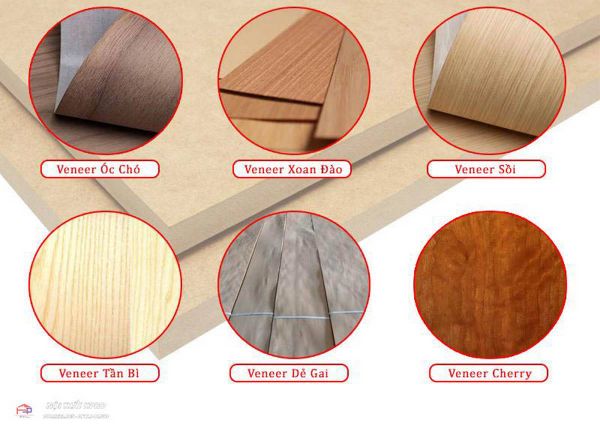 gỗ veneer là gì?