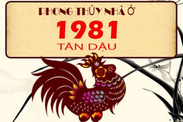 tuổi tân dậu 1981 hợp hướng nào