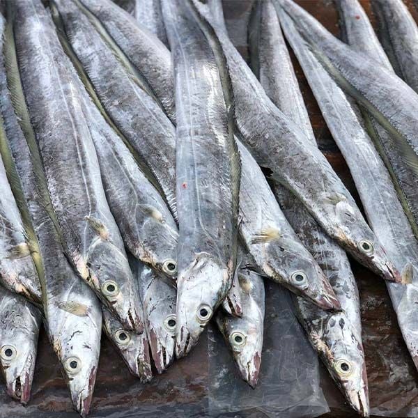 cach-chon-ca-ho-lam-cha