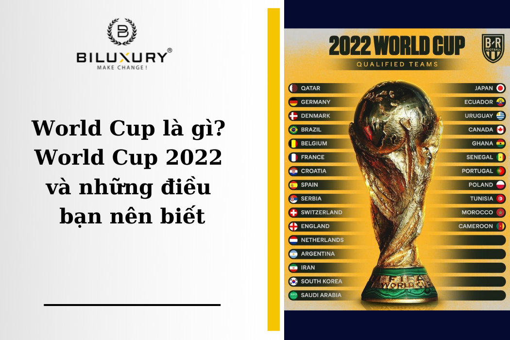 World Cup là gì? World Cup 2022 và những điều bạn nên biết