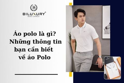 Áo polo là gì? Những thông tin bạn cần biết về áo Polo