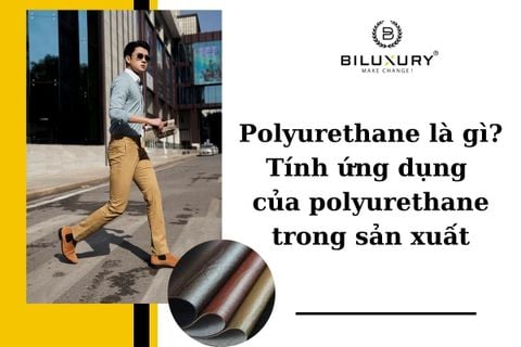 Polyurethane Là Gì? Nhận Biết Và Ứng Dụng Trong Đời Sống