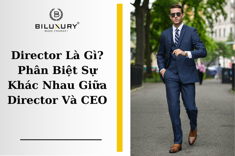Director Là Gì? Phân Biệt Sự Khác Nhau Giữa Director Và CEO