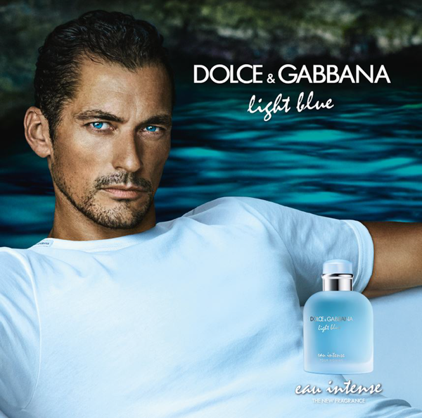 Dolce & Gabbana Light Blue Eau Intense với người đại diện thương hiệu