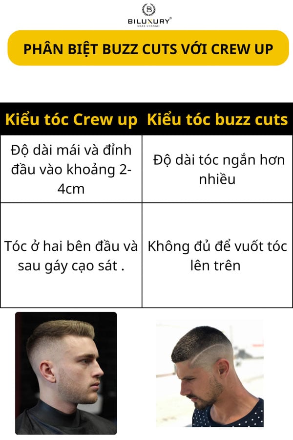 Phân biệt Crew Cut và Buzz Cuts