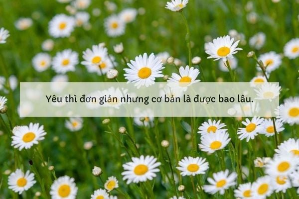 những câu cap tus hay đăng ảnh