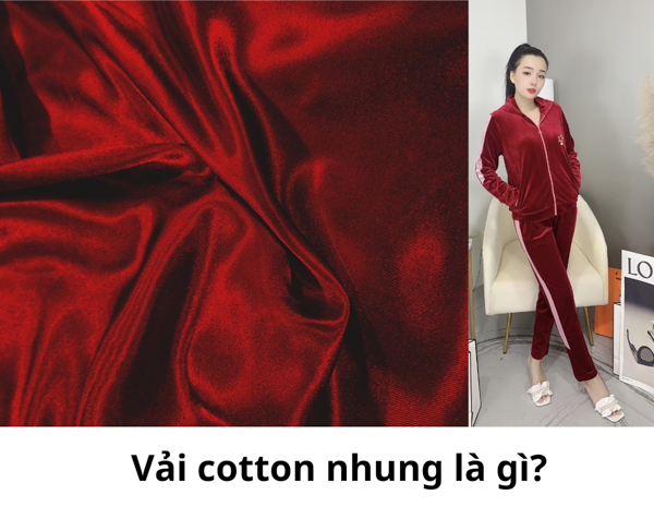Vải cotton nhung là gì?