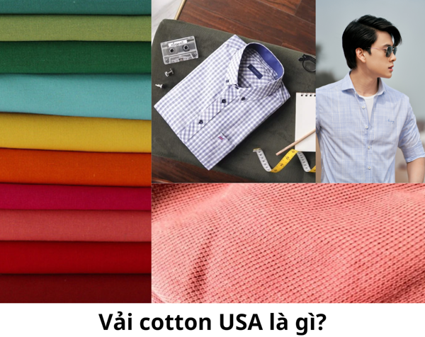 Vải cotton USA là gì?