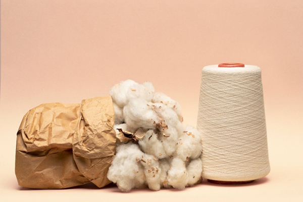 Vải cotton có nguồn gốc là từ sợi bông tự nhiên