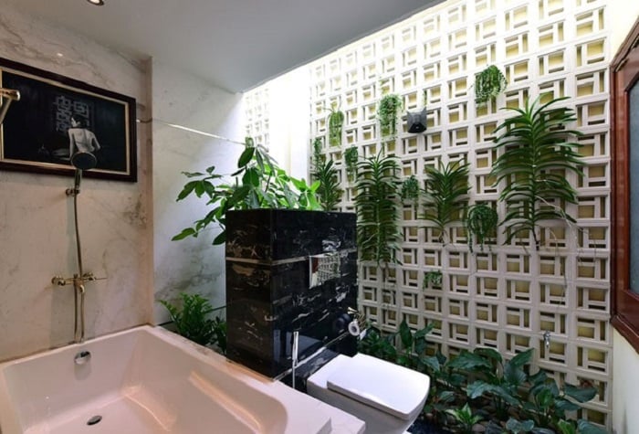 Bí quyết trang trí phòng tắm với cây xanh đơn giản mà đẹp – Công ...
