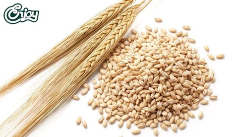 Công dụng hạt đại mạch, giá trị dinh dưỡng và những lưu ý khi sử dụng
