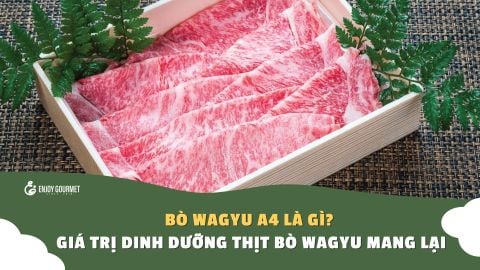 Bò Wagyu A4 là gì? Giá trị dinh dưỡng thịt bò Wagyu mang lại