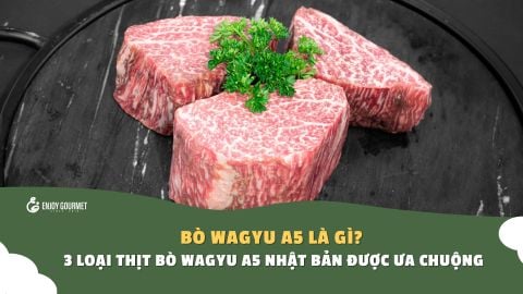 Bò Wagyu A5 là gì? 3 loại thịt bò Wagyu A5 Nhật Bản được ưa chuộng