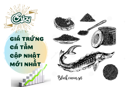Cập nhật giá trứng cá tầm mới nhất hôm nay