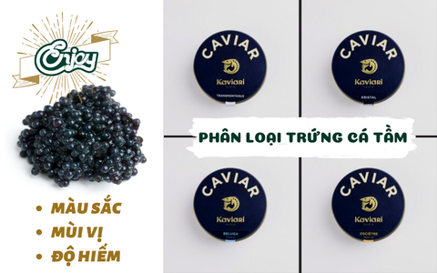 Chia sẻ đặc trưng mỗi loại trứng cá tầm không thể bỏ qua