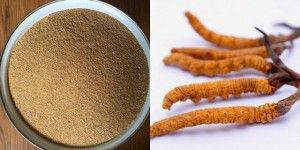 Đông Trùng Hạ Thảo Có Những Loại Nào?