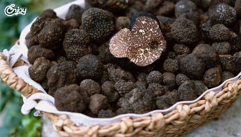 Nấm Truffle là gì? Tác dụng nấm Truffle như nào? Giá bao nhiêu?