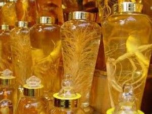 Tác Dụng Và Cách Ngâm Rượu Nhân Sâm