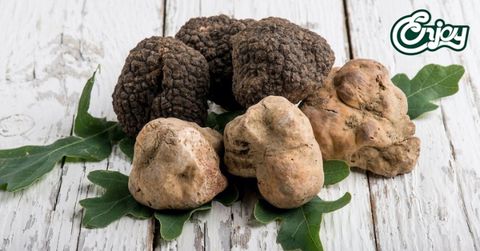 Nấm Truffle đen và Nấm Truffle trắng? Loại nấm nào tốt hơn cho sức khoẻ