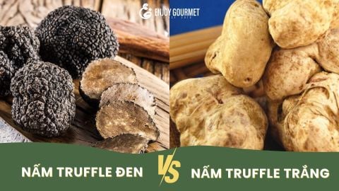 So Sánh Truffle Đen và Truffle Trắng - Điểm nổi bật của 2 loại nấm này