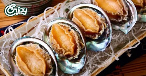 Top 7 tác dụng tuyệt vời mà bào ngư mang đến cho sức khỏe