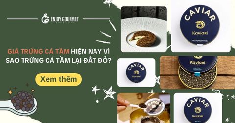 Trứng Cá Tầm giá bao nhiêu? Tại sao chúng lại đắt đỏ đến như vậy?