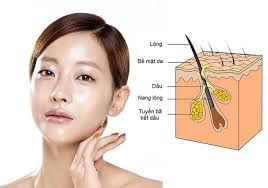 Skincare routine cho da dầu: Giúp da mịn màng, hạn chế bóng nhờn