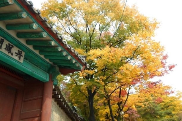 Mùa thu của bốn cung điện chính ở Seoul