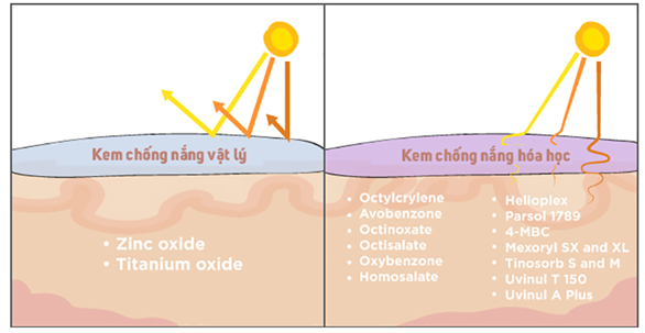 kem chong nang hoa hoc