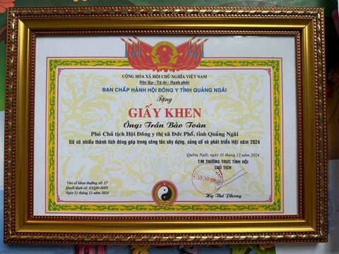 NGẢI CỨU MUA Ở ĐÂU UY TÍN? CÂY NGẢI CỨU KHÔ BÁN Ở ĐÂU?