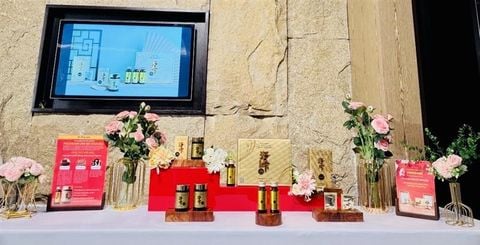 Hội Thảo Tại Tp HCM và Đà Nẵng Ngày 22-23 tháng 3 năm2025